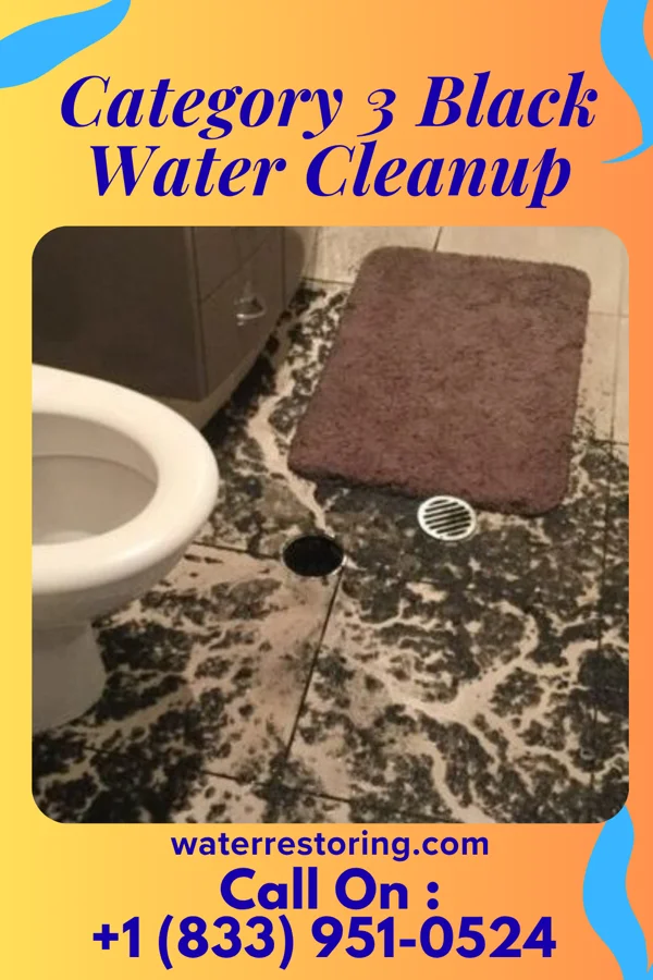 Category 3 Black Water Cleanup in Mayfield, OH