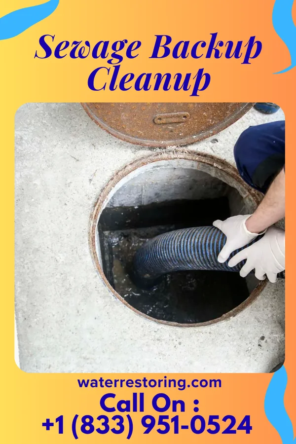 Sewage Backup Cleanup in Mayfield, OH