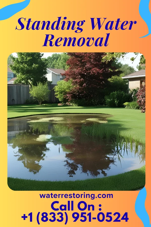 Standing Water Removal in Mayfield, OH